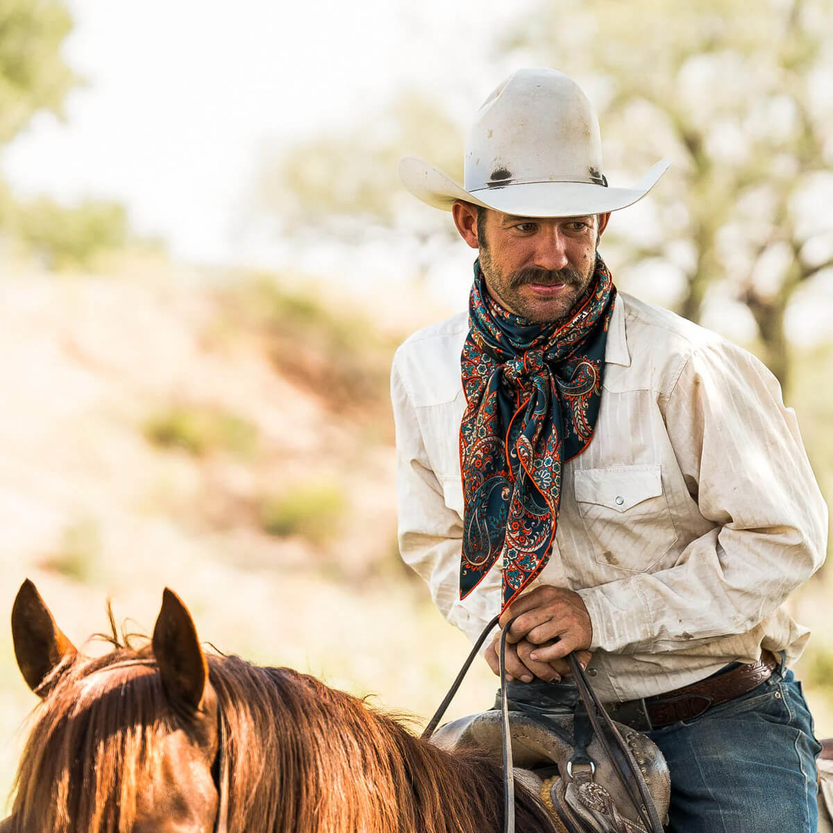 Big44 Western Silk Cowboy Wild Rag