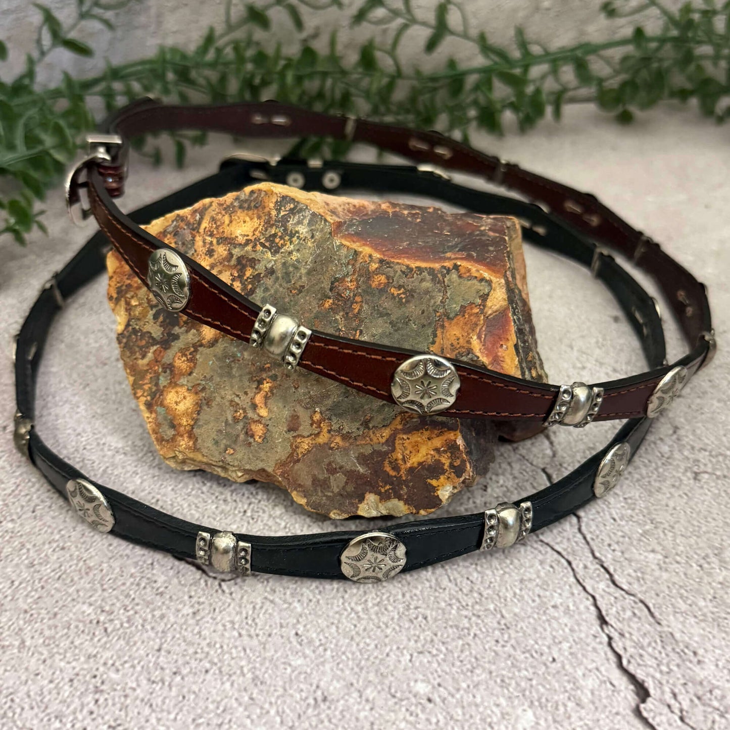 Leather belt with metal conchos on a stone surface with greenery in the background